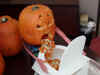 drunkpumpkin.jpg (60135 bytes)